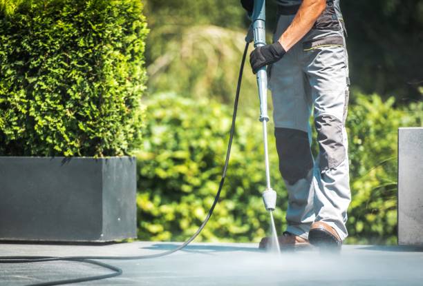 Best Animal Enclosure Cleaning  in Rotan, TX